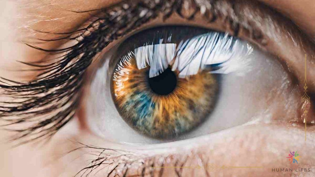 The Impact of Screen Time on Eye Health
