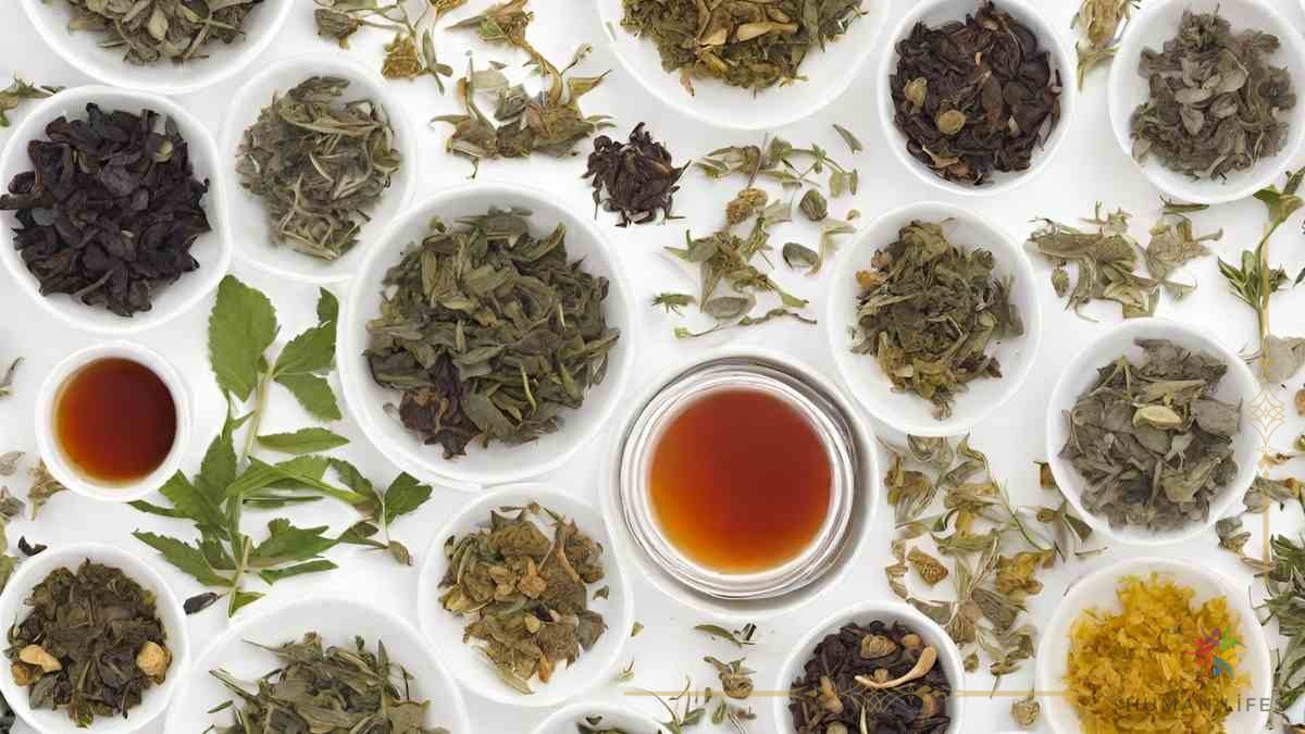 Herbal teas for weight loss