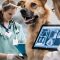 The Role of Technology in Modern Veterinary Education