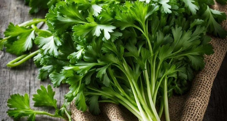 Unlocking the Power of Parsley (1)